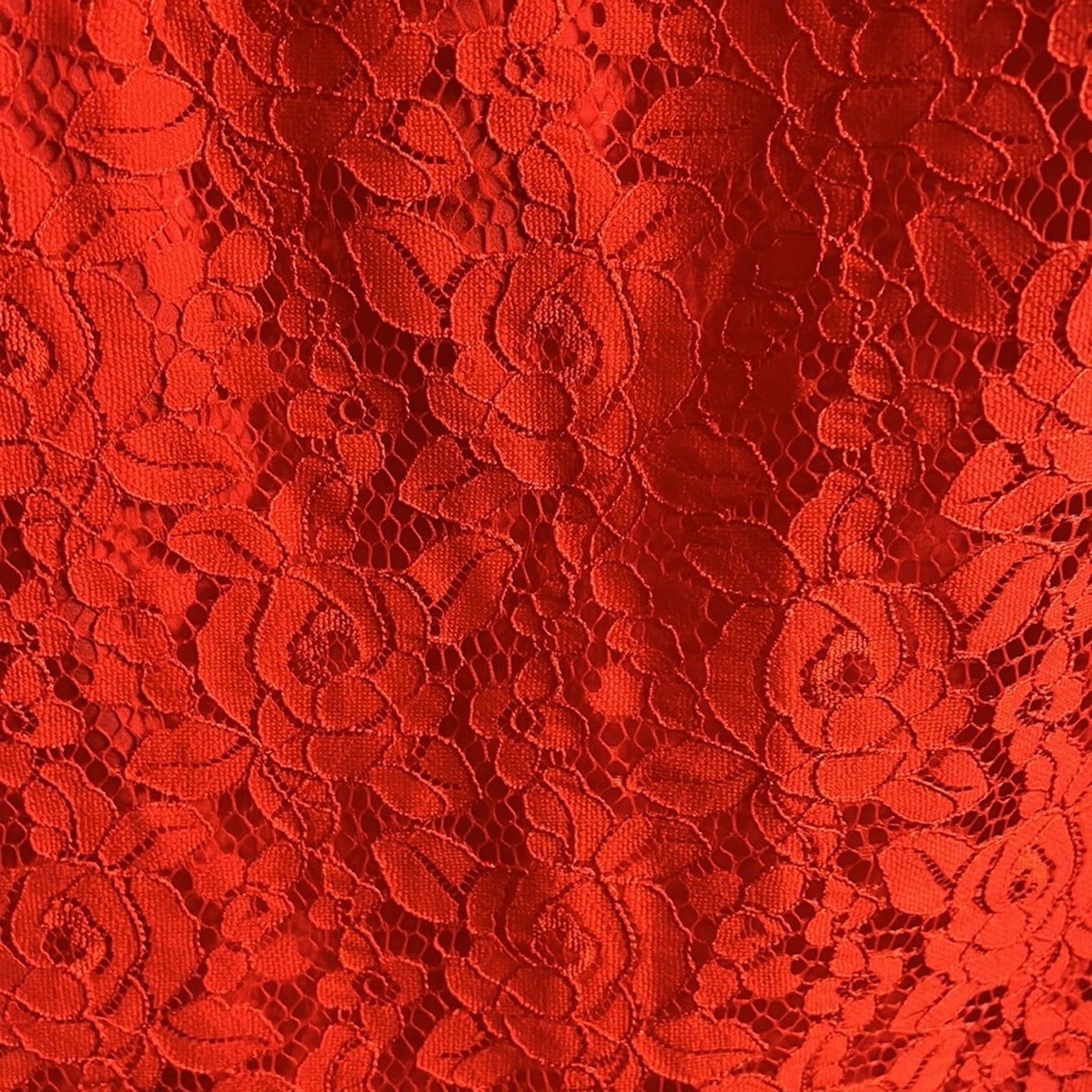 Diane Von Furstenberg Red Lace Sivis Tailoered Dress - size 2