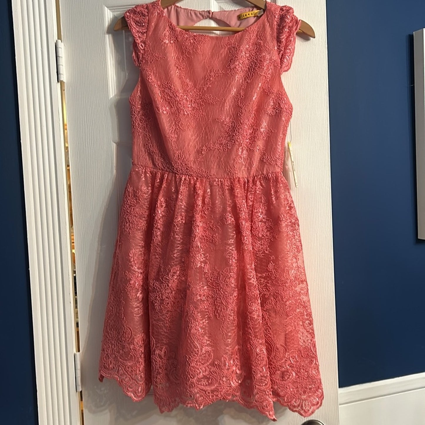 NWT Alice and Olivia Zenden embroidered lace mini dress Pink Icing - size 6
